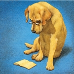 Reading Lab - Yellow lab by humor artist Will Bullas