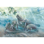 The Lunch Bunch - Manatees by marine artist Linda Thompson
