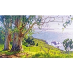 The Eucalyptus Coast by California landscape artist June Carey