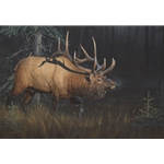 Sun Struck - bugling bull elk by wilderness artist Dan Smith