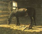 Foal - born this morning by western artist Tucker Smith
