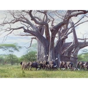 A Giant Among Giants - Elephants around baobab tree by John Banovich