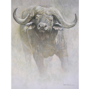 African Buffalo - Sappi Portfolio by Robert Bateman