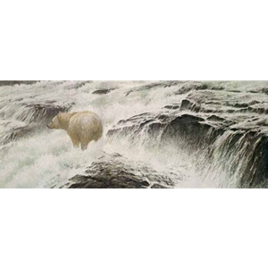 Spirit Bear by Robert Bateman