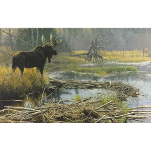 Autumn Overture - Bull Moose by Robert Bateman