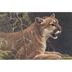 Cougar Portrait by Robert Bateman