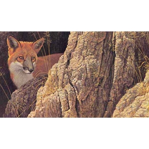 Curious Glance - Red Fox by Robert Bateman