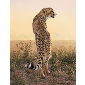 First Light - Cheetah by wildlife artist Simon Combes