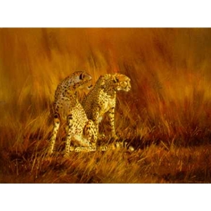 On a Fiery Plain Cheetahs by artist Dino Paravano