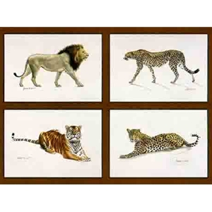 The Adventurers Collection - Big Cats 1 Cheetah, Leopard, Lion Tiger By artist Lindsay Scott