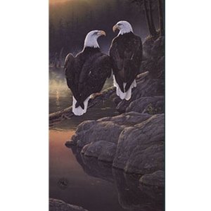Dawn's Early Light - Bald Eagles by Daniel Smith