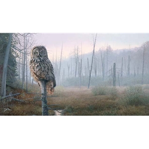 Silent Hunter - Great Gray Owl by wildlife artist Brent Townsend