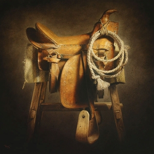 Katie's Saddle - still life study by artist Kyle Polzin