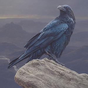 Canyon Vista - Raven by Daniel Smith