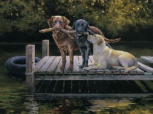 Dog Days - Labrador Retrievers by artist Bonnie Marris