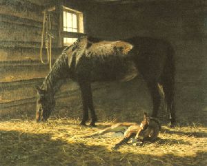 Foal - born this morning by western artist Tucker Smith