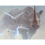 Black Thunder - charging Black Rhino by John Banovich