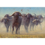 Buffalo Soldiers - herd of cape buffalo by John Banovich