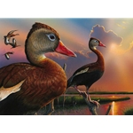 2020 Federal Duck Stamp - PRINT ONLY - Black-bellied Whistling Duck Pair by Eddie LeRoy