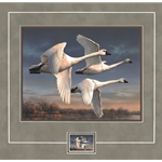 2023 Federal Duck Stamp COLLECTOR EDITION -  PRINT & STAMP ONLY - Three Tundra Swans by Joseph Hautman