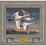 2023 Federal Duck Stamp MEDALLION EDITION - Three Tundra Swans by Joseph Hautman