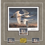 2022 Federal Duck Stamp PRESIDENT's EDITION - Three Tundra Swans by Joseph Hautman