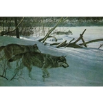 Wolf Pack in Moonlight by Robert Bateman