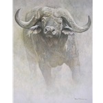 African Buffalo - Sappi Portfolio by Robert Bateman