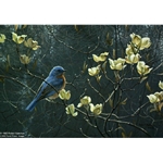 Bluebird and Blossoms by Robert Bateman