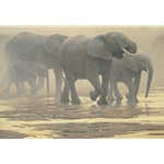 By the River - Elephants by Robert Bateman
