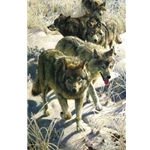 Miles to Go - Wolf pack by wildlife artist Carl Brenders