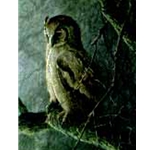 Giant Eagle Owl - Sappi Portfolio by Robert Bateman