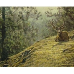 Mule Deer Resting by Robert Bateman