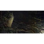 Nightfall - Eagle Owl by Robert Bateman