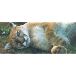 The Good Life - Cougar by wildlife artist Carl Brenders