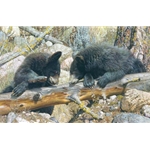 Double Dare - Black Bear cubs by wildlife artist Carl Brenders