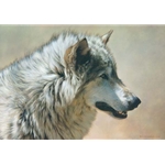 Steadfast and Resolute - Wolf by wildlife portrait artist Carl Brenders