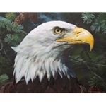 Fir and Feathers - Portrait of Bald Eagle by wildlife artist Carl Brenders
