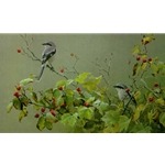 Shrike Pair and Hawthorn by Robert Bateman