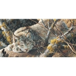 Take Five - Canadian Lynx by wildlife artist Carl Brenders