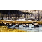 Autumn Procession - Elk Herd by wildlife artist Carl Brenders