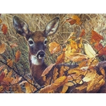 Autumn Lady - White-tailed Doe by wildlife portrait artist Carl Brenders