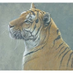 First Alert - Bengal Tiger by Robert Bateman