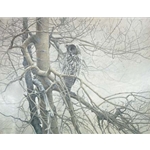 Ghost of the North - Great Gray Owl by Robert Bateman