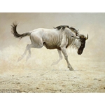Wildebeest by Robert Bateman