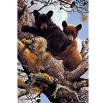 High Adventure - Black Bear Cubs by wildlife artist Carl Brenders