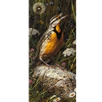 Meadowlark by wildlife artist Carl Brenders