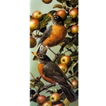 Robins by wildlife artist Carl Brenders