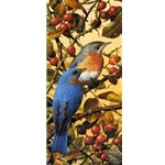 Bluebirds by wildlife artist Carl Brenders