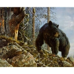 Mighty Intruder - Black Bear by wildlife artist Carl Brenders